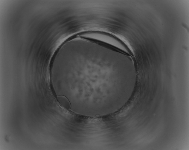 X0000093120887200709261326