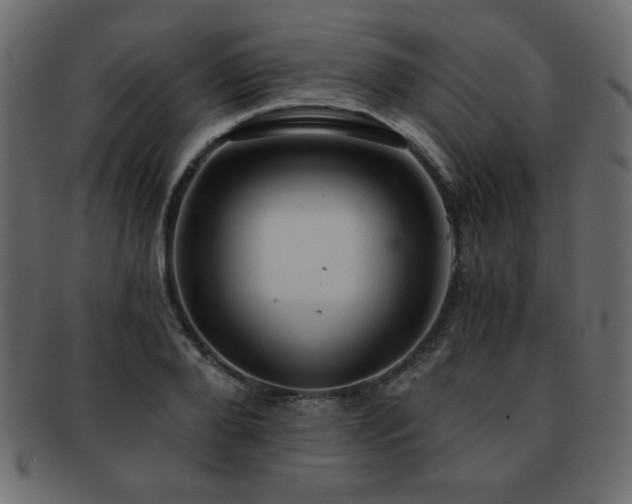 X0000093120888200709261325