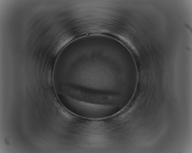 X0000093120889200709261325