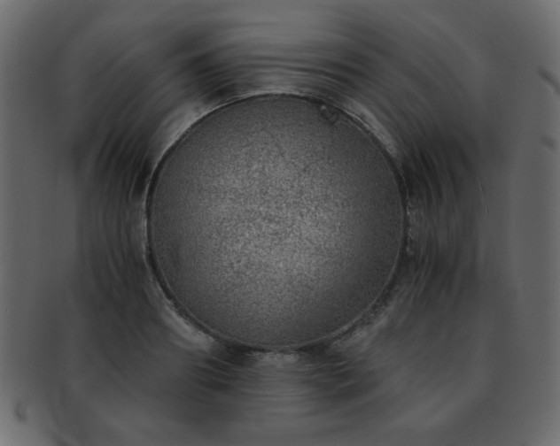 X0000093120890200709261325