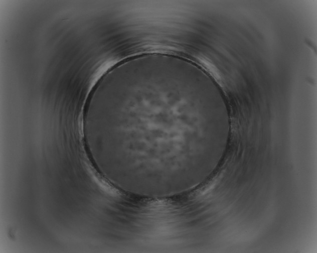 X0000093120891200709261325