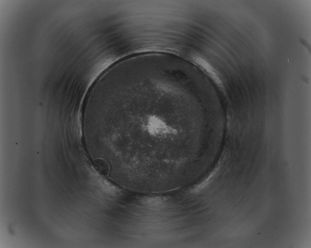 X0000093120892200709261325