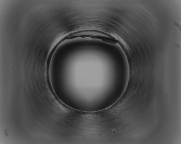 X0000093120894200709261325