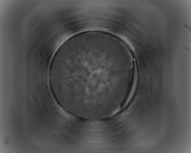 X0000093120895200709261325