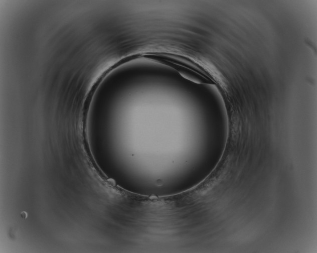X0000093120896200709261325