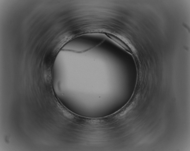X0000093120897200709261325