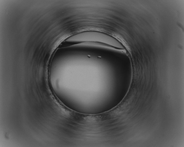 X0000093120898200709261325