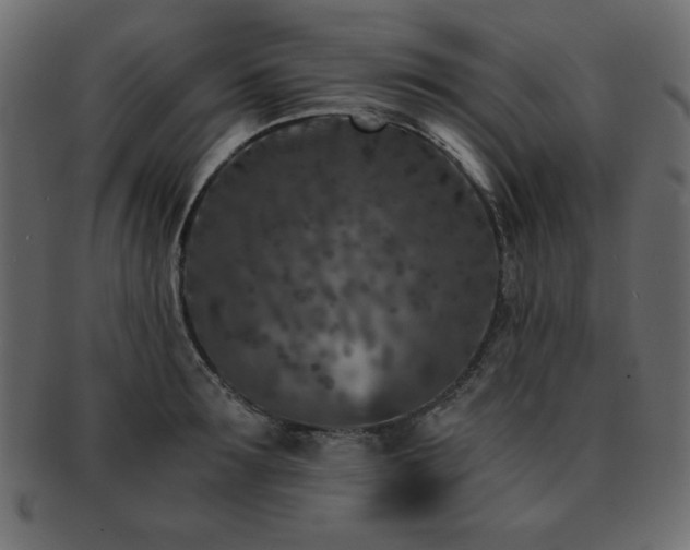 X0000093120899200709261325