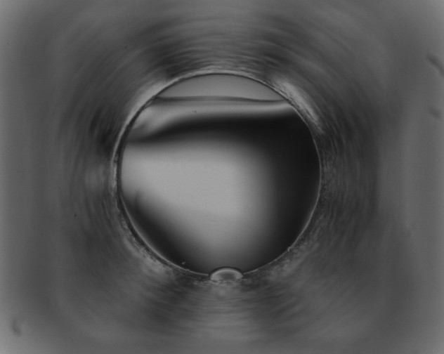 X0000093120900200709261325