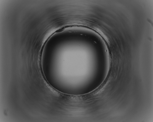 X0000093120901200709261325