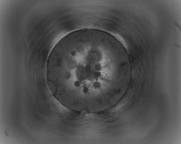 X0000093120903200709261325