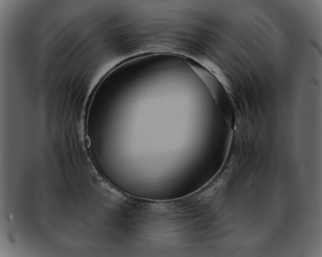 X0000093120904200709261325