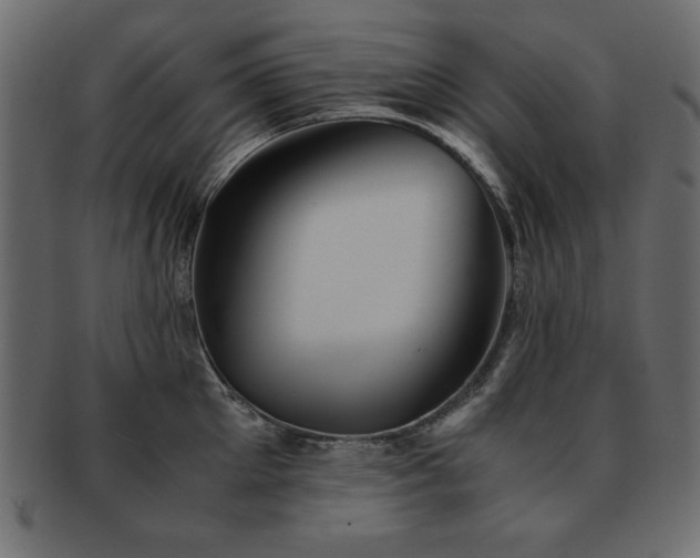 X0000093120905200709261325