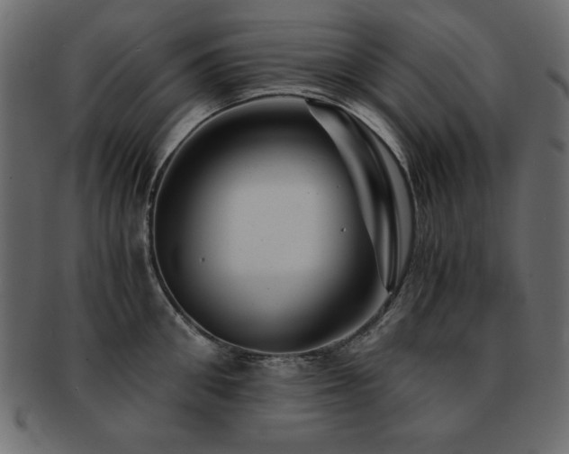X0000093120906200709261325