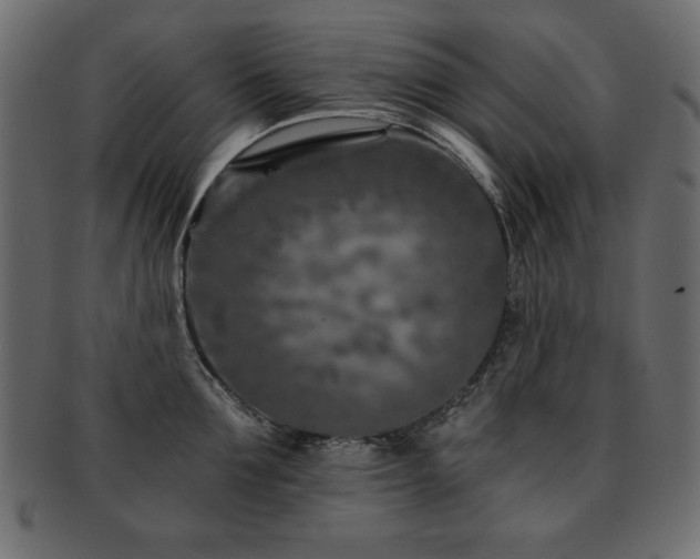 X0000093120907200709261325