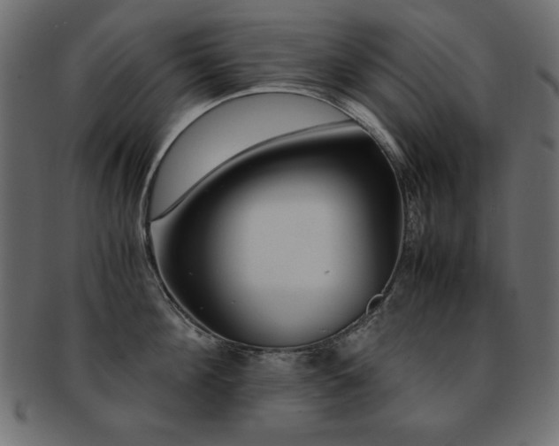 X0000093120908200709261325