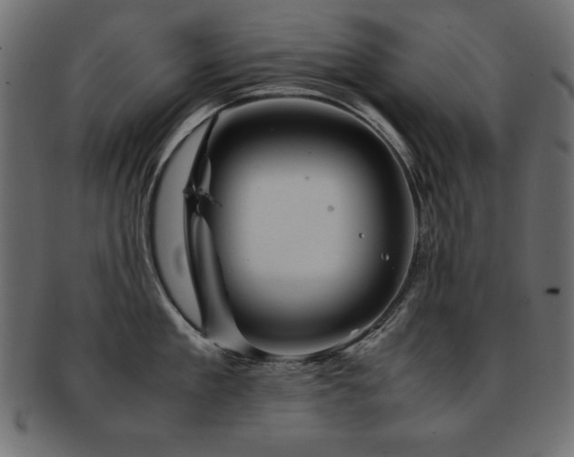X0000093120909200709261325