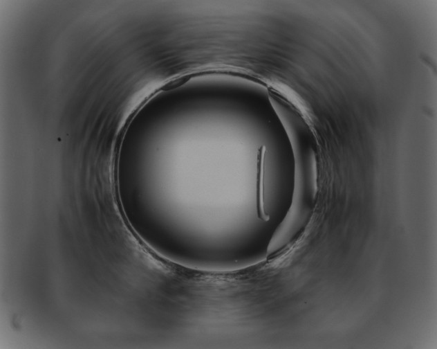 X0000093120910200709261325