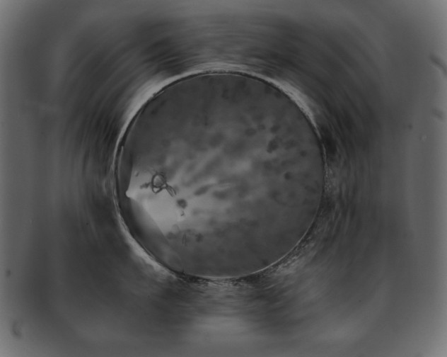 X0000093120911200709261325