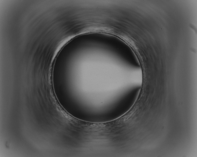 X0000093120912200709261325