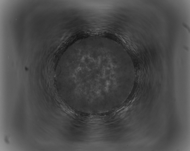 X0000093120913200709261325