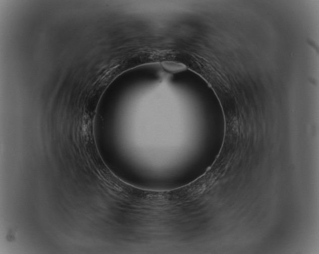 X0000093120914200709261325