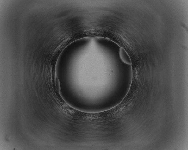X0000093120915200709261325