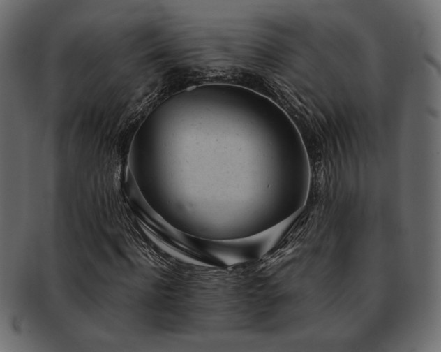 X0000093120916200709261325