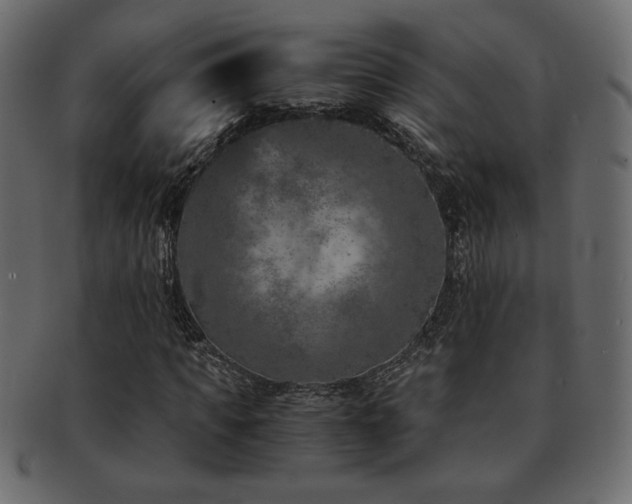 X0000093120917200709261325
