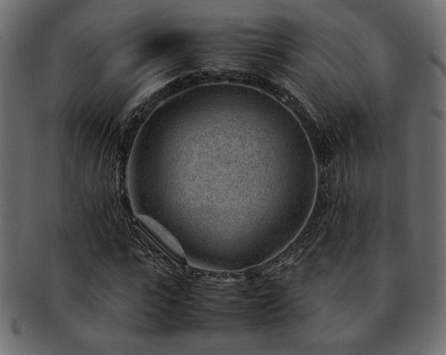X0000093120919200709261325