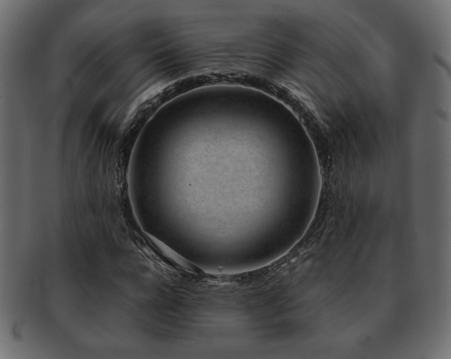 X0000093120920200709261325