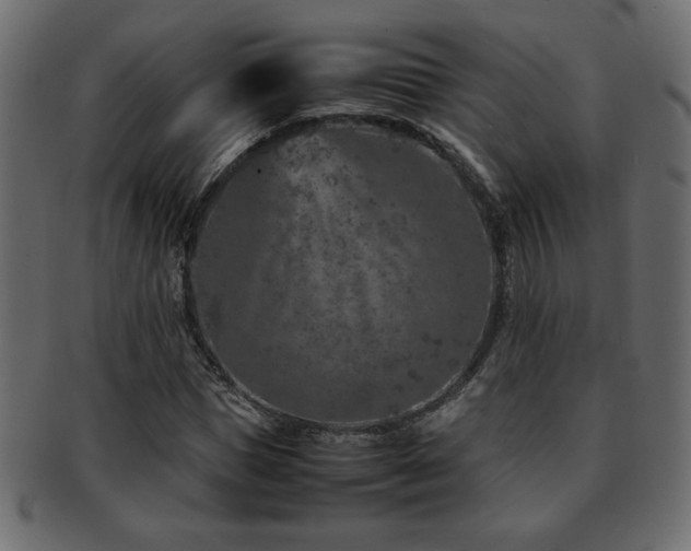 X0000093120921200709261325