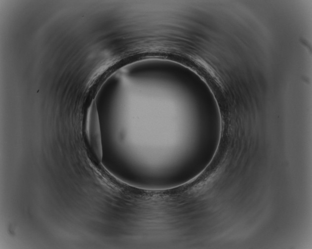 X0000093120922200709261325
