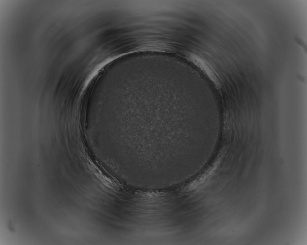 X0000093120923200709261325