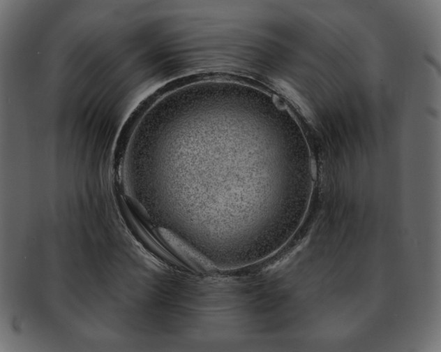 X0000093120924200709261325
