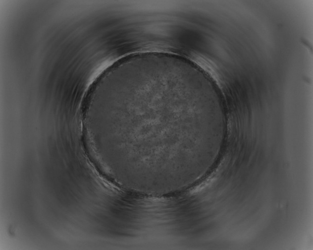 X0000093120925200709261325