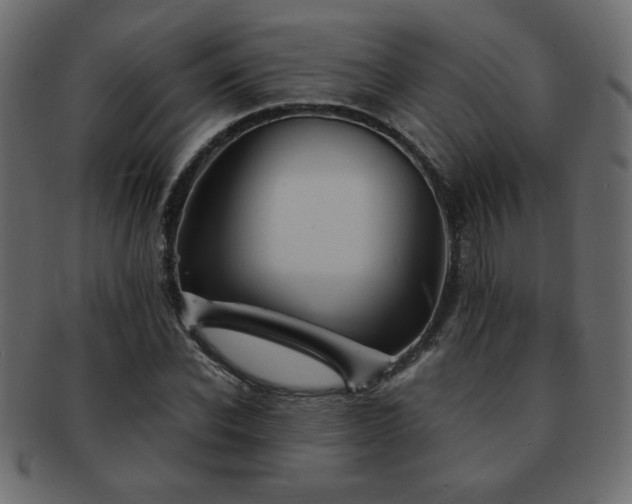 X0000093120926200709261325