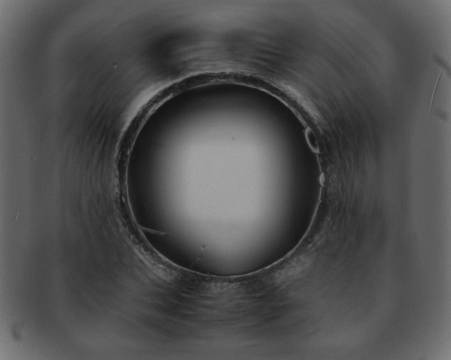 X0000093120927200709261325