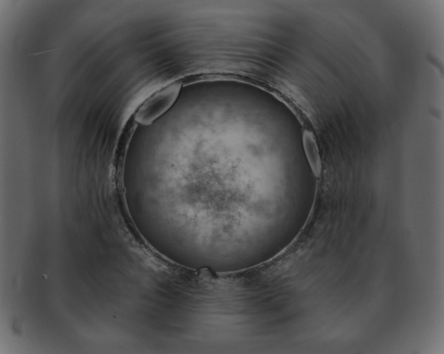 X0000093120928200709261325