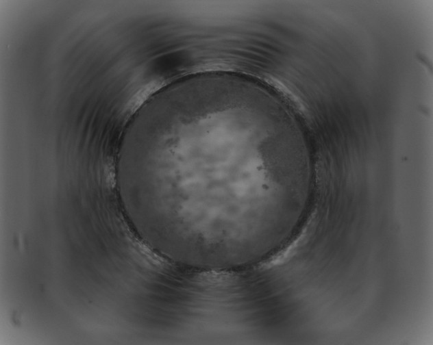 X0000093120929200709261325