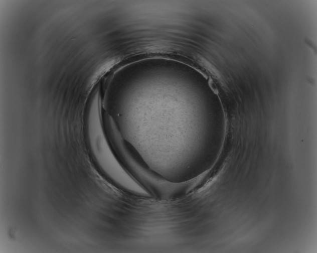 X0000093120930200709261325