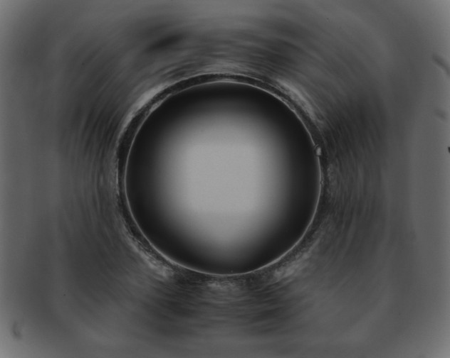 X0000093120931200709261325