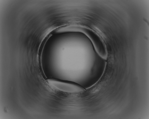 X0000093120932200709261325