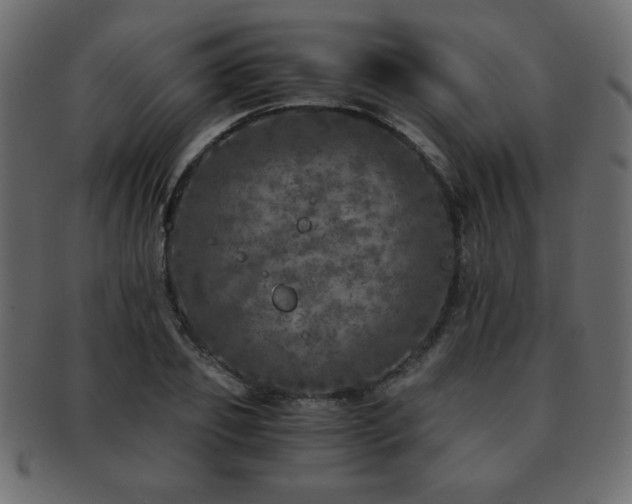 X0000093120933200709261325