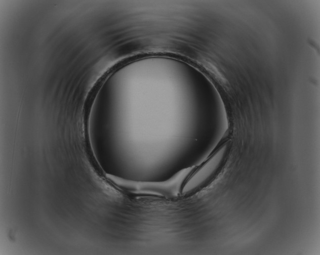X0000093120934200709261325