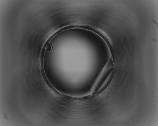 X0000093120935200709261325