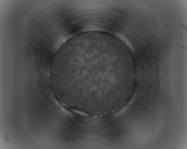 X0000093120937200709261325