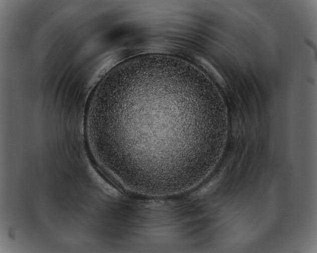 X0000093120938200709261325