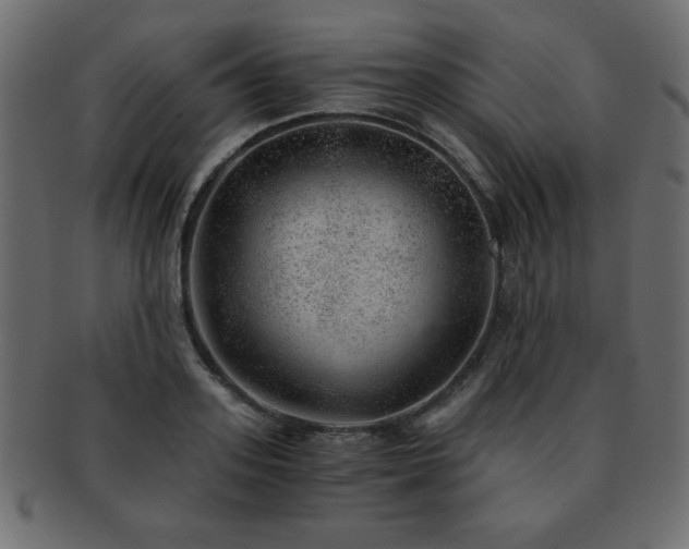 X0000093120939200709261325