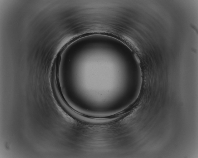 X0000093120942200709261325
